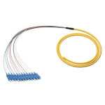 [TCM-12PSCUS2-5] Tconnect Fiber Pigtail SC Singlemode 12 Fiber 9/125µm (OS2) 5m